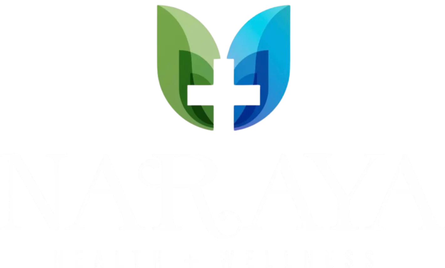 cropped-naraya-logo-white-2.webp